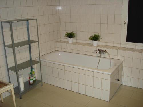 Appartement 25 qm mit Bad an der Mosel - Nähe Koblenz (Appartement 25 qm mit Bad an der Mosel - Nahe Koblenz) in 迪布利希