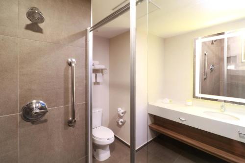 351291987 Holiday Inn San Luis Potosi-Quijote by IHG