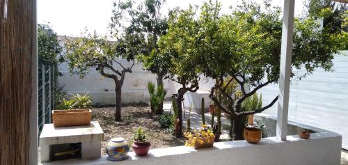 สวน, Casa Maria Bartolomeo in บีร์จี เวกกี