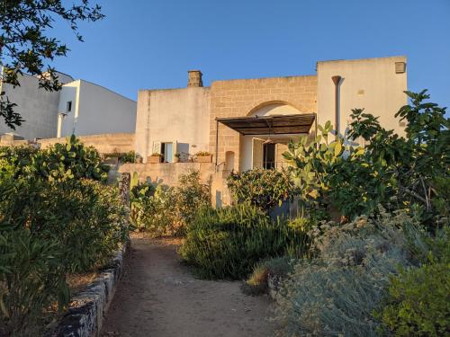 Il Fico d´India gîte à louer Gagliano del Capo