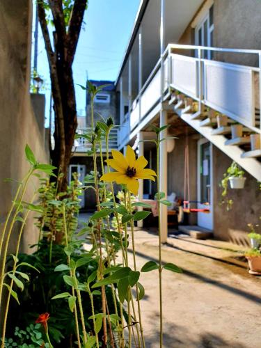 SunHome Stepanavan Guest House in Stepʼanavan