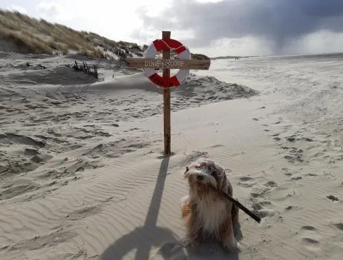 Fischerbalje in Borkum, Deutschland