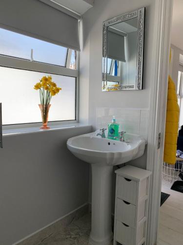 浴室, The Honeycomb in 巴利香農