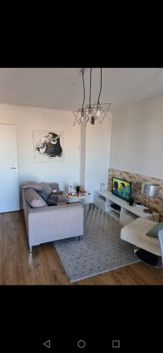 appartement du bonheur gîte à louer Lyon