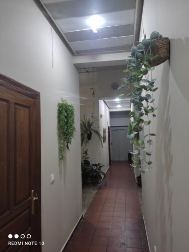 Hostal Puerta Carmona - image 11