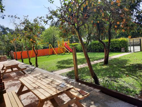 Metro Vilar Suites & Villas - image 13