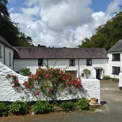 Barkham Exmoor gîte à louer Simonsbath