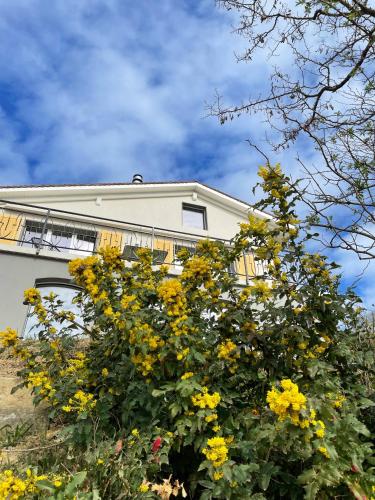 Traumhaftes Ferienhaus mit See- und Alpenblick gîte à louer Bois Montrivel
