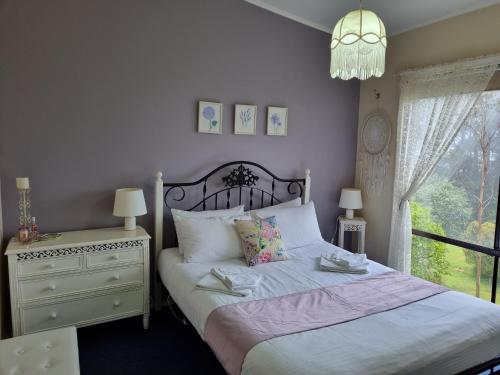 Beech Forest Cottage (Cozy Otways Accommodation)