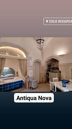 Antiqua Nova 1