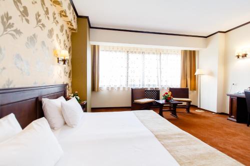International Bucharest City Centre Hotel - image 10