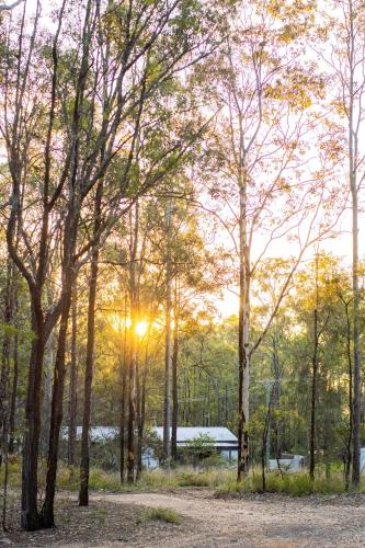 Wild Woods at Pokolbin