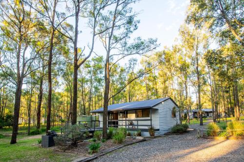 Wild Woods at Pokolbin