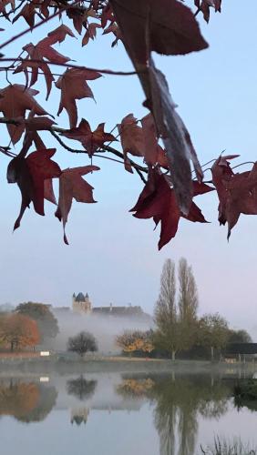 Bblodges Loches Beauval