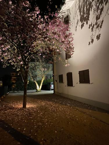  Casa Bellodi in Novi di Modena