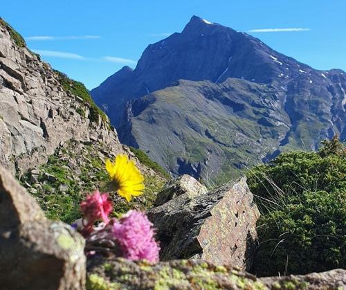 Belle villa calme à la montagne