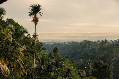 Campuhan Sebatu Resort