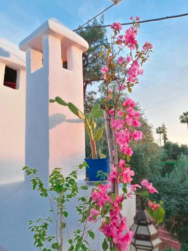 Riad Elli Marrakech - image 5