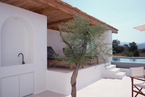 Alio Naxos Luxury Suites in ลอส