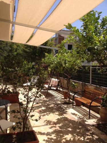 Il Giardino Dei Limoni - image 3