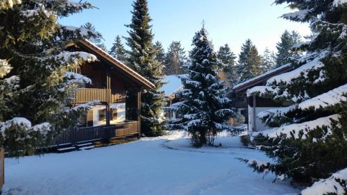 Ferienhaus im Waldferiendorf Regen