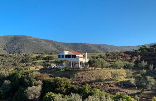 Gorgeous private Villa with sea view!, Ándros (fotografie 10)