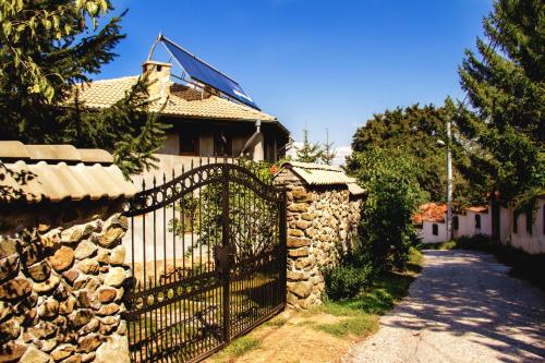 Villa Pontica - image 5