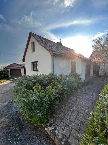 外部景觀, Pension zum Winterberg in 埃爾斯特爾韋爾達