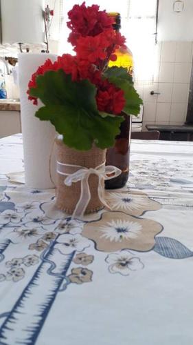 La casa del abuelo - image 5