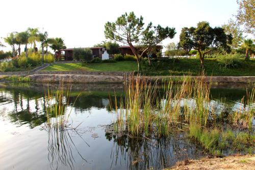 Herdade do Sardanito da Frente - image 11