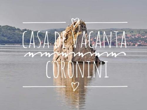 . Casă de vacanță Danube