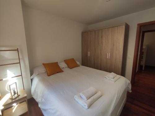 El floc de Neu - Camprodon