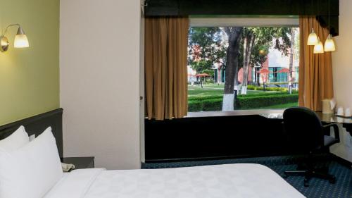 351496652 Holiday Inn San Luis Potosi-Quijote by IHG