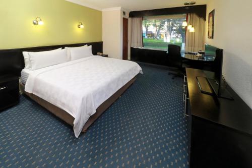 351496682 Holiday Inn San Luis Potosi-Quijote by IHG