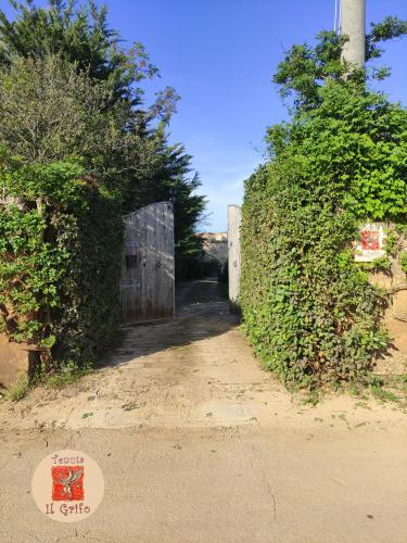 Tenuta il grifo tricase chambre d'hôte Sant'Eufemia