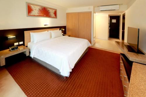 351501121 Holiday Inn San Luis Potosi-Quijote by IHG