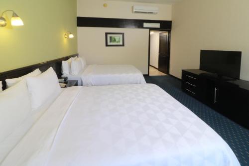 351501165 Holiday Inn San Luis Potosi-Quijote by IHG