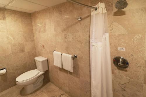 351501169 Holiday Inn San Luis Potosi-Quijote by IHG