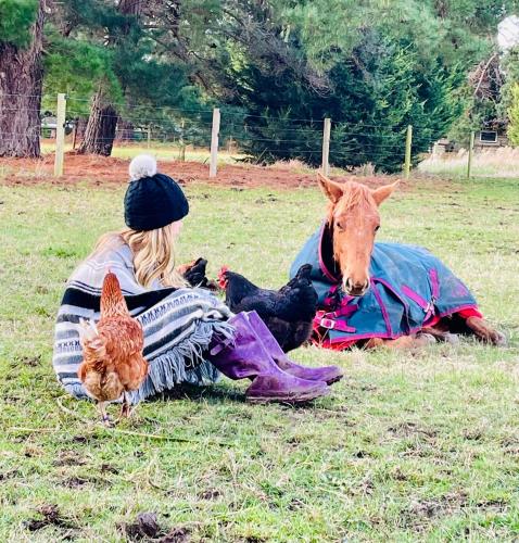 Farm Stay MAPLE Cottage at Wilindi Estate