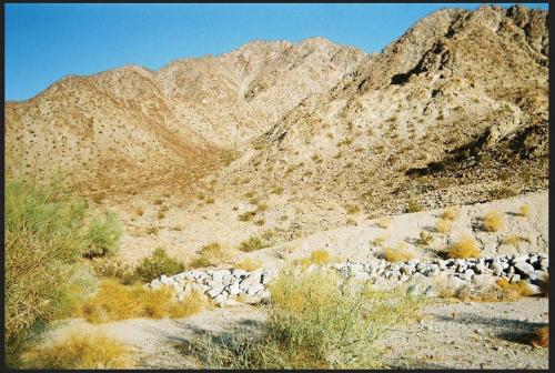 Surrounding environment, Turtle Back Mesa Bed and Breakfast in Indo Hills