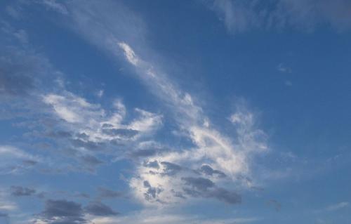 Facilities, Turtle Back Mesa Bed and Breakfast in Indo Hills