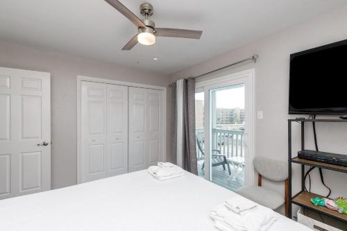 El Constante 229K by Padre Escapes - image 12