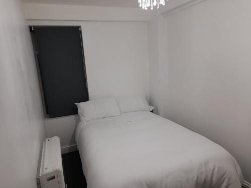 Two Bedroom Manchester Ancoats Apartment with Private Entrance, Manchester (fotografie 3)