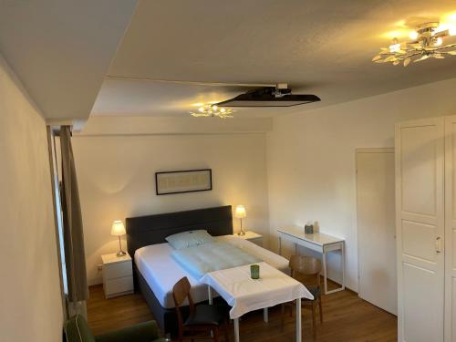 Ferienwohnung Einzimmerappartement - Apartment - Freilassing