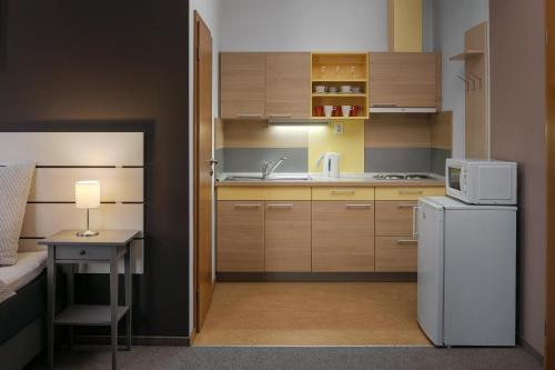 Konyha, Apartman - Dum Ceskeho Svycarska in Krasna Lipa
