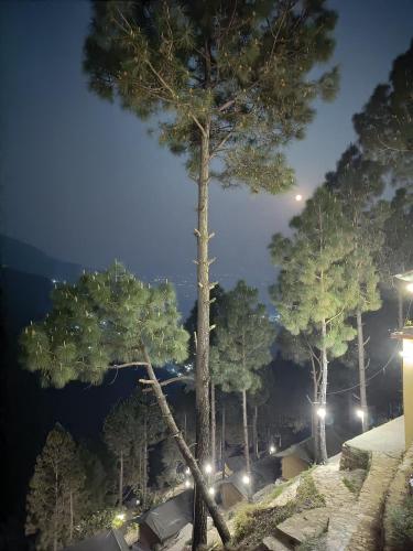 Apkārtne, Jaseelo Camps near Tehri Lake in Chamba (Uttarakhand)