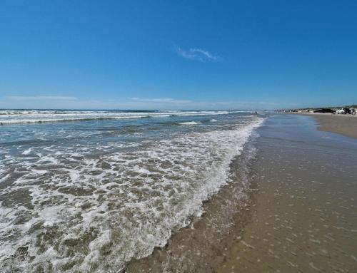 Surfside 117 by Padre Escapes - image 9