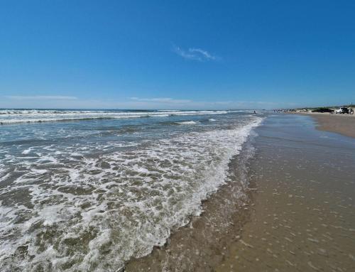 Padre Beach View 201K by Padre Escapes - image 11