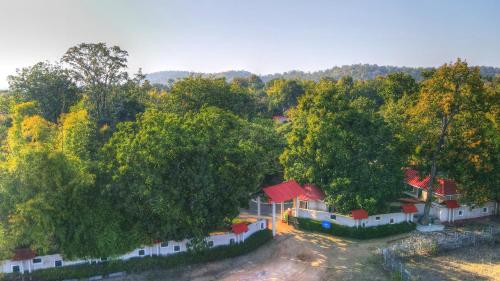 Bundela Bandhavgarh by Octave