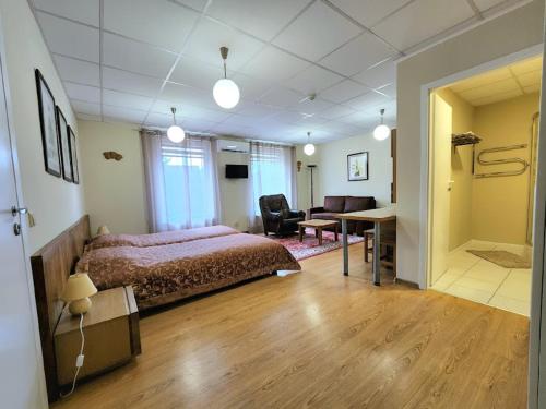 Solo studio, Birštonas (Foto 5)